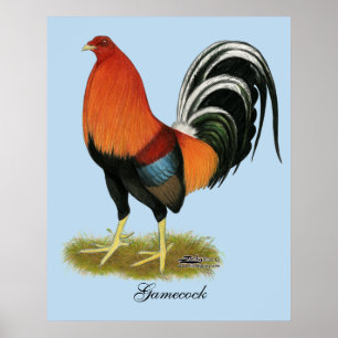 Gamecock Wheaten Tupp Poster