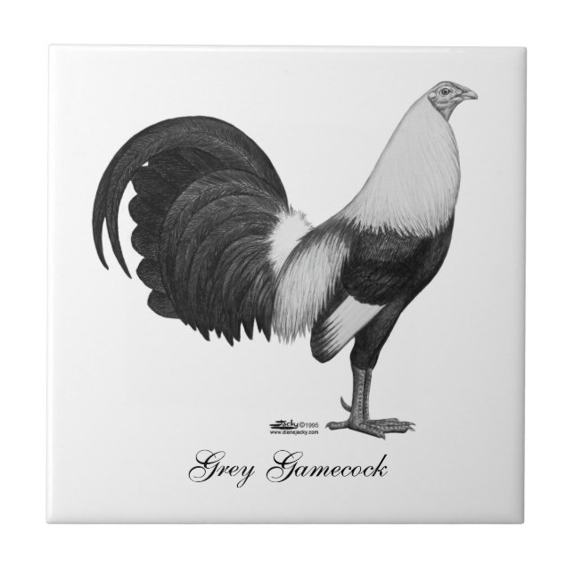 Gamecockgrå färg Duckwing Kakelplatta (Framsidan)
