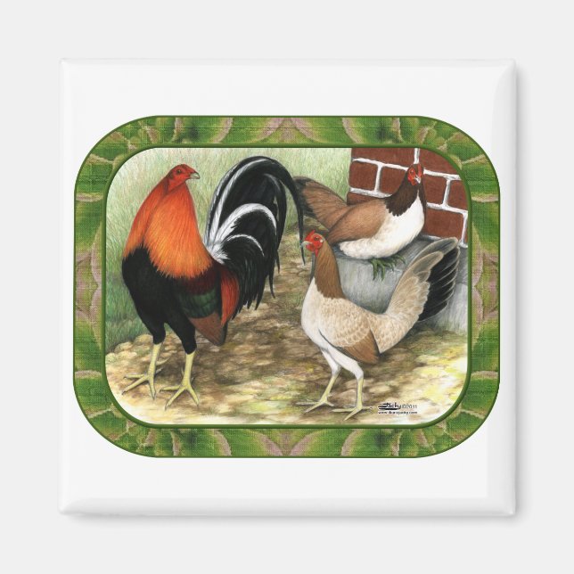 Gamefowl på gården magnet (Framsidan)