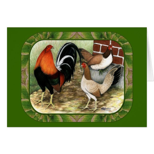 Gamefowl på gården OBS kort (Framsidan Horizontal)