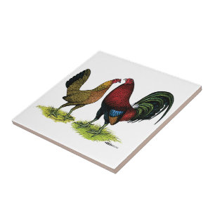 Gamefowl Pair Kakelplatta