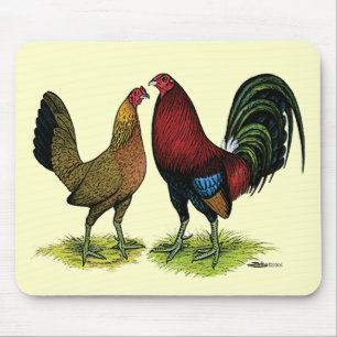 Gamefowl Pair Musmatta