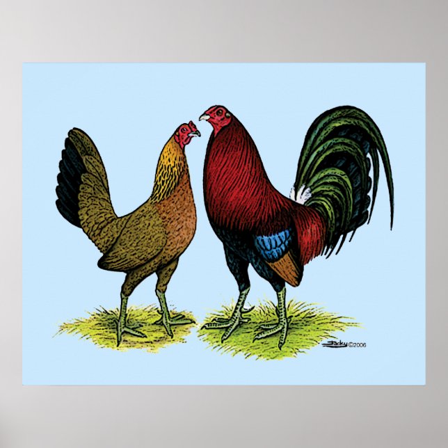 Gamefowl Pair Poster (Framsidan)