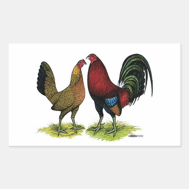 Gamefowl Pair Rektangulärt Klistermärke (Framsida)