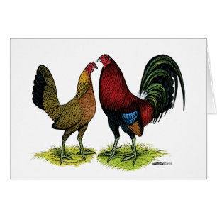 Gamefowl parar hälsningskort