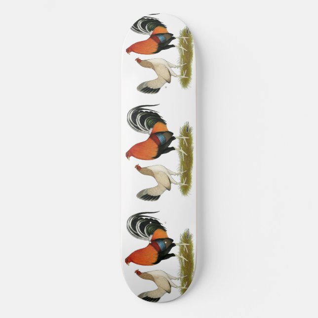 Gamefowl Wheatens Mini Skateboard Bräda 18,5 Cm (Framsida)