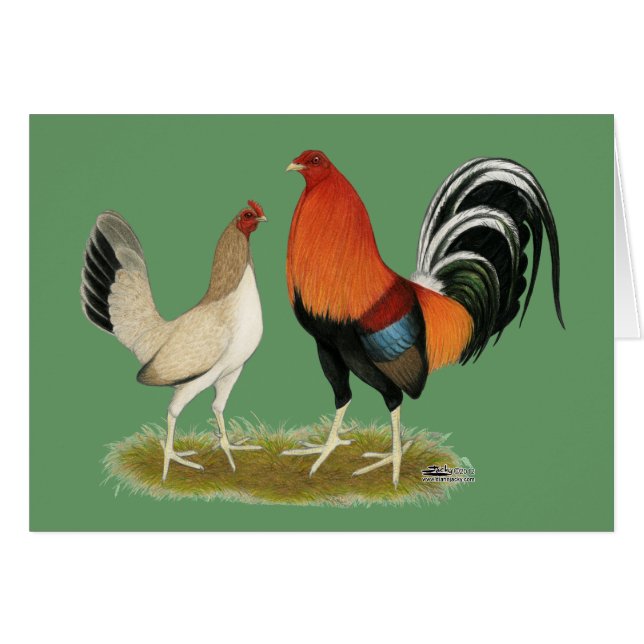 Gamefowl Wheatens OBS Kort (Framsidan Horizontal)