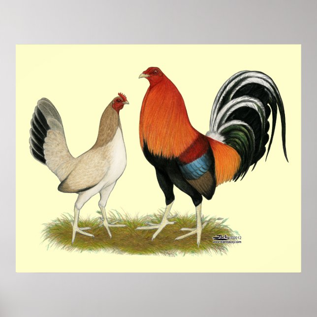Gamefowl Wheatens Poster (Framsidan)