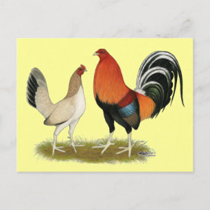 Gamefowl Wheatens Vykort