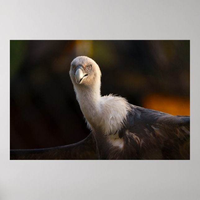 Gamens blick poster (Framsidan)