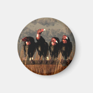 Gamkvartett Magnet