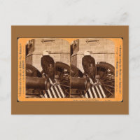 Gamla Abe, Wisconsin Krig Eagle- Stereoview