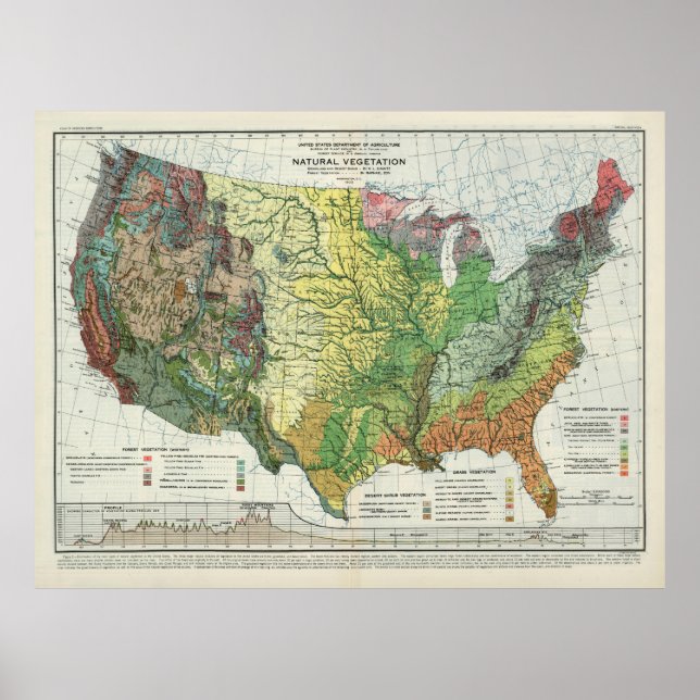 Gamla amerikanska Naturvegetationen Karta (1923) Poster (Framsidan)