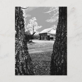 Gamla Barn Rural Barns Land Black & White Photo Vykort