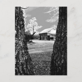 Gamla Barn Rural Barns Land Black & White Photo Vykort