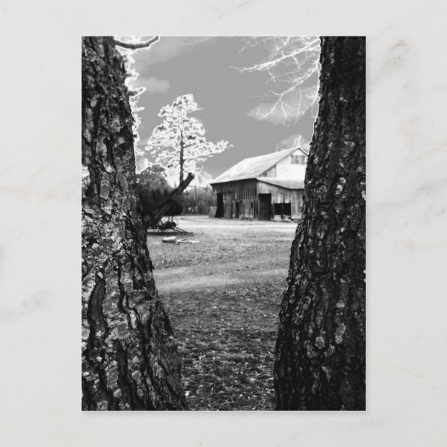 Gamla Barn Rural Barns Land Black & White Photo Vykort (Framsida)