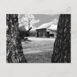 Gamla Barn Rural Barns Land Black & White Photo Vykort
