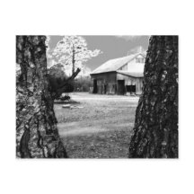 Gamla Barn Rural Barns Land Black & White Photo