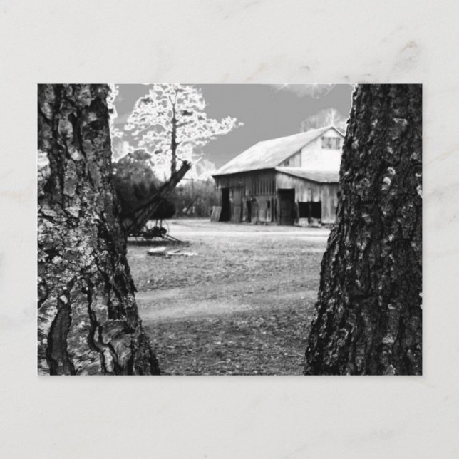 Gamla Barn Rural Barns Land Black & White Photo Vykort (Framsida)