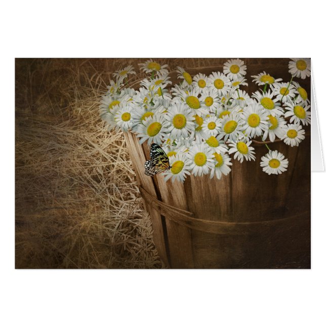 Gamla Basket OBS Kort (Framsidan Horizontal)