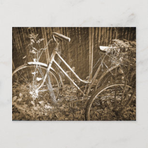 Gamla bikes vykort