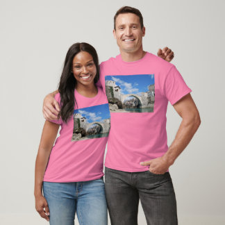 Gamla bron i Mostar Tee Shirt