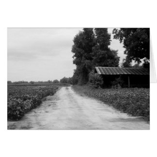 Gamla Byggnad Barn i North Carolina Hälsningskort