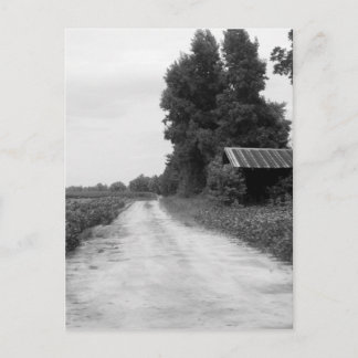 Gamla Byggnad Barn i North Carolina Vykort
