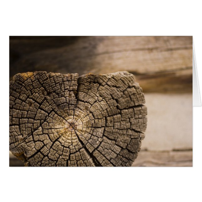 Gamla Cabin Struktur Hälsningskort (Framsidan Horizontal)