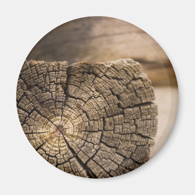 Gamla Cabin Struktur Magnet (Framsidan)