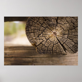 Gamla Cabin Struktur Poster