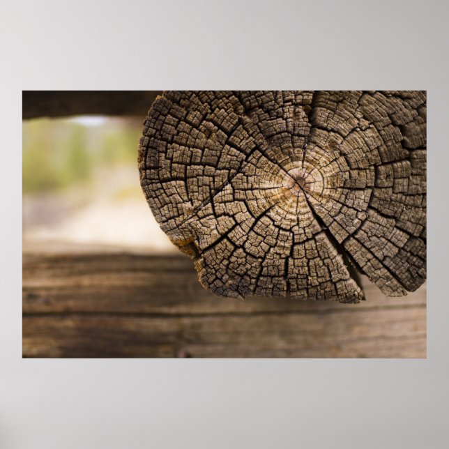 Gamla Cabin Struktur Poster (Framsidan)