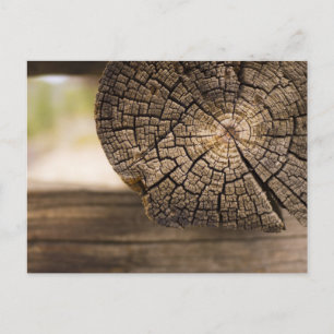 Gamla Cabin Wood Struktur Vykort