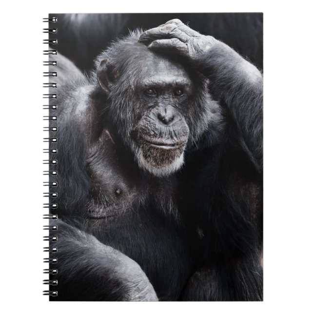 Gamla chimpanzéanteckningsböcker anteckningsbok med spiral (Framsidan)