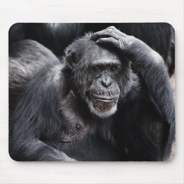 Gamla Chimpanzee mousepad Musmatta (Framsidan)
