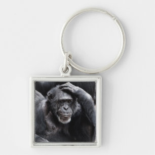 Gamla Chimpanzee-nyckelringen Fyrkantig Silverfärgad Nyckelring