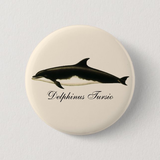 Gamla delfiner Delphinus Tursio, marina däggdjur Knapp (Framsida)