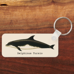 Gamla delfiner Delphinus Tursio, marina däggdjur Nyckelring
