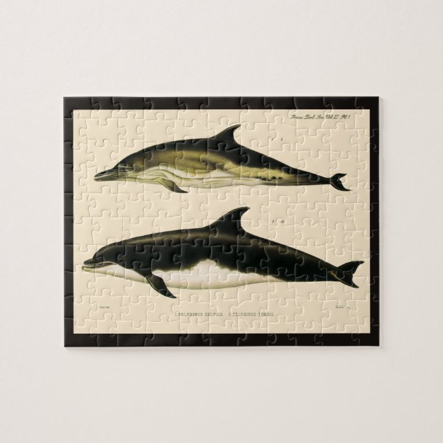 Gamla delfiner, marina djur och däggdjur pussel (Horisontell)