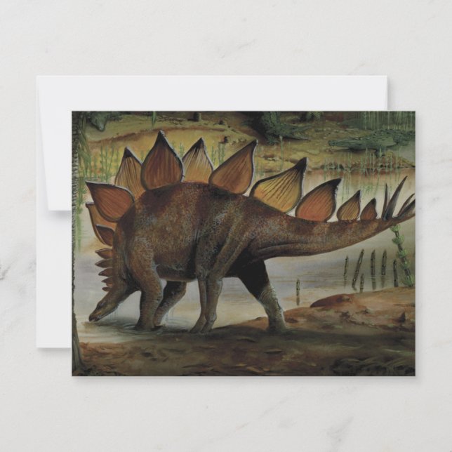 Gamla dinosaurier, Stegosaurus, Svans med taggar (Framsida)
