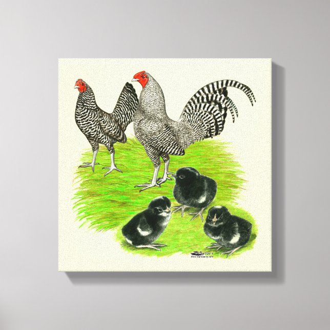 Gamla engelska Barred Bantam Family Canvastryck (Framsida)