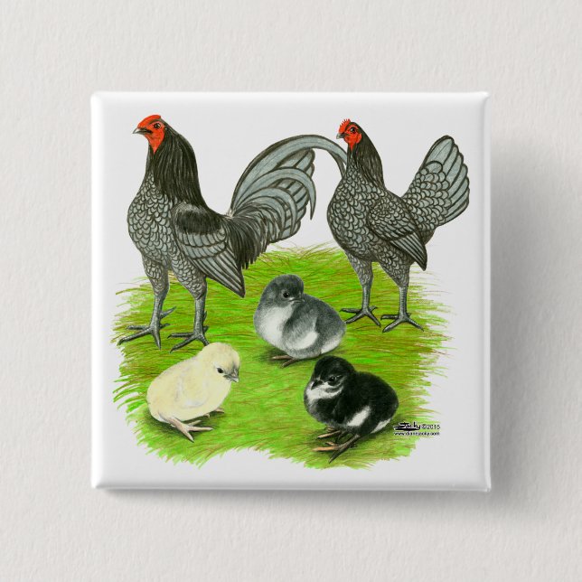 Gamla engelska Blue Game-familjen Knapp (Framsida)