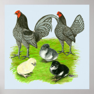 Gamla engelska Blue Game-familjen Poster