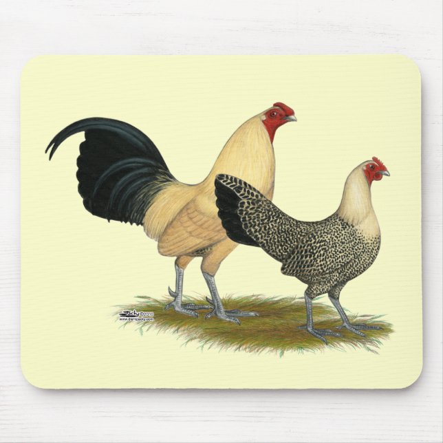 Gamla engelska Cream Buttercups Musmatta (Framsidan)