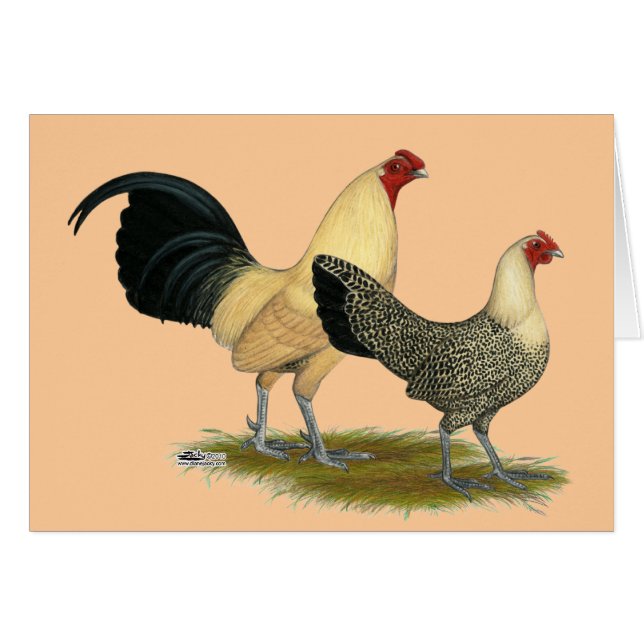 Gamla engelska Cream Buttercups OBS Kort (Framsidan Horizontal)