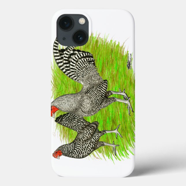 Gamla engelska Game Barred Chickens (Baksida)