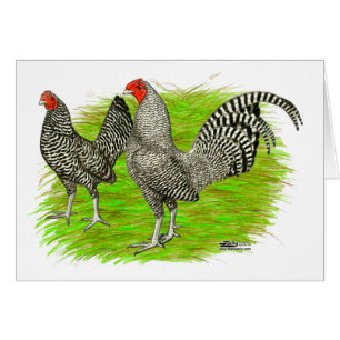 Gamla engelska Game Barred Chickens Hälsningskort