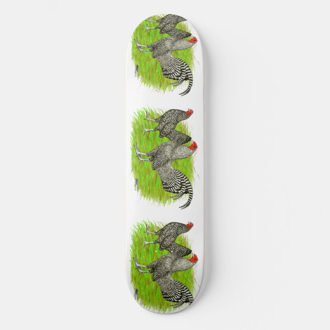 Gamla engelska Game Barred Chickens Mini Skateboard Bräda 18,5 Cm (Framsida)