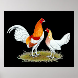 Gamla engelska matchen Bantam: Red Pyle Poster