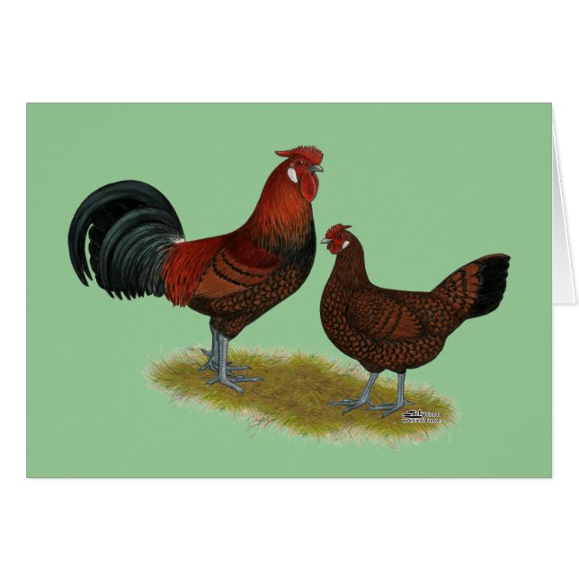 Gamla engelska Pheasant Fowl OBS Kort (Framsidan Horizontal)